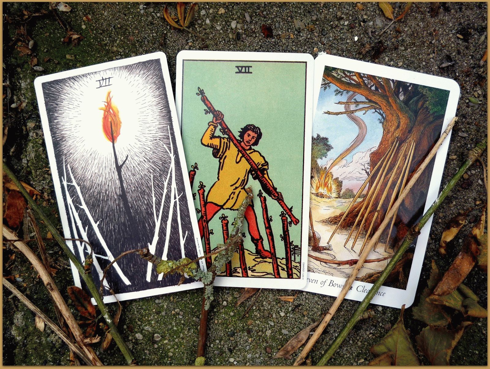 Wands Tarot Cards Meanings - Psychic Cards