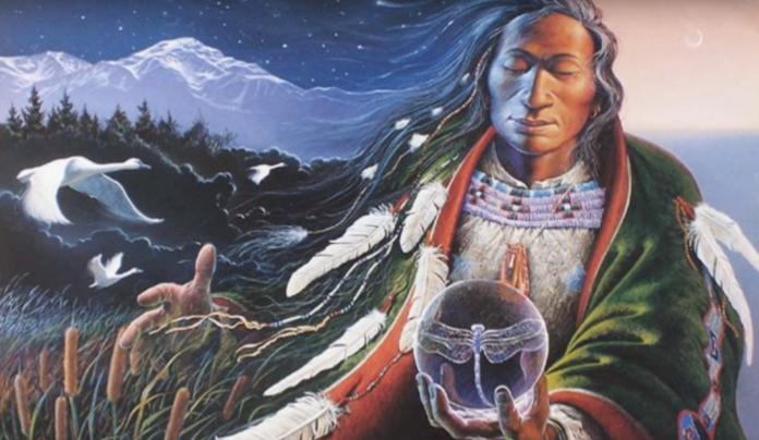 Native American Animal Medicine Cards Native American Animal Medicine Cards